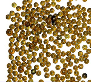 Nuclear Grade Ion Exchange Resins